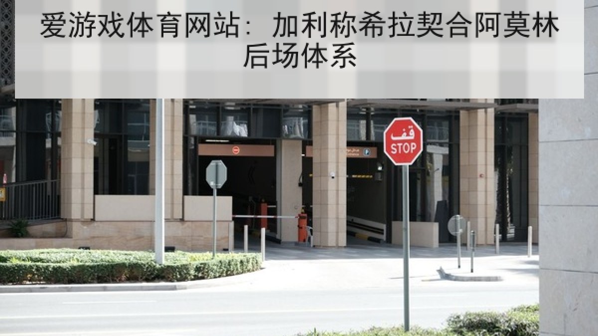 爱游戏体育网站: 加利称希拉契合阿莫林后场体系