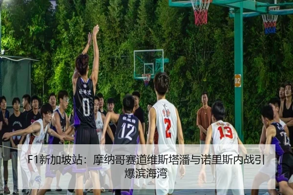 xin-jia-po-zhan-mo-na-ge-sai-dao-wei-si-ta-pan-yu-nuo-li-si-nei-zhan-yin-bao-bin-hai-wan-2-257.jpg