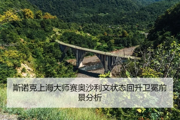 si-nuo-ke-shang-hai-da-shi-sai-ao-sha-li-wen-zhuang-tai-hui-sheng-wei-mian-qian-jing-fen-xi-2-342.jpg